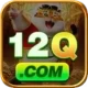 12q Official v4.1.5
